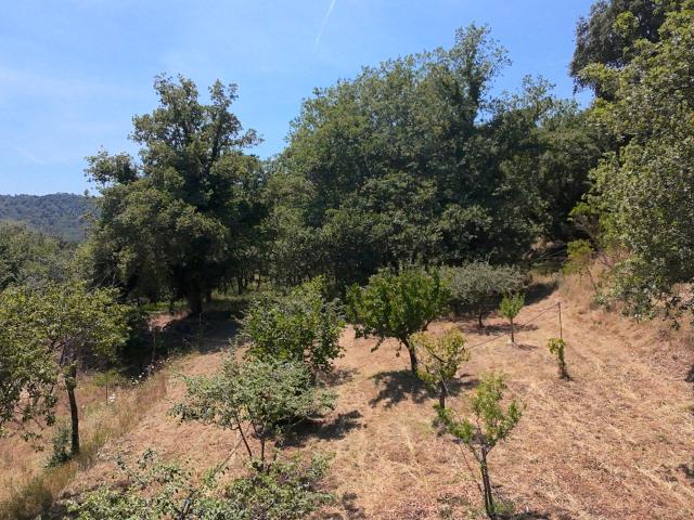 Collobrières Vente Terrain 83