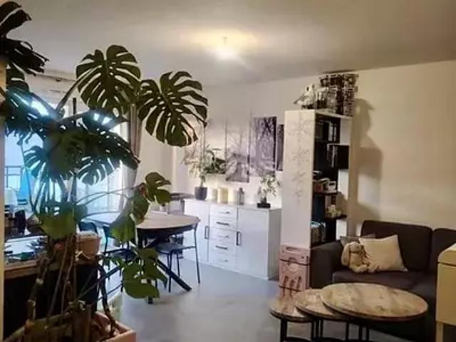 Colmar 68000 Achat / Vente appartement 3 pièces t3