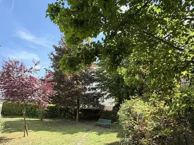 Colmar 68000 Achat / Vente appartement 4 pièces t4 cave balcon