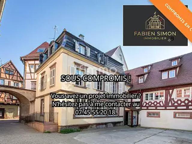 Colmar 68000 Achat / Vente maison 14 pièces t14 terrasse parking