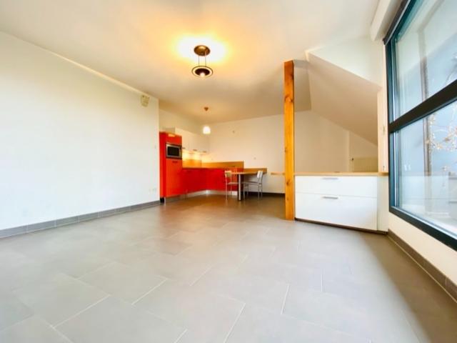 Colmar Vente Appartement 68