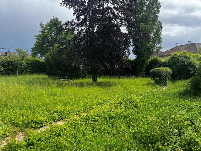 Colmar Vente Terrain 68