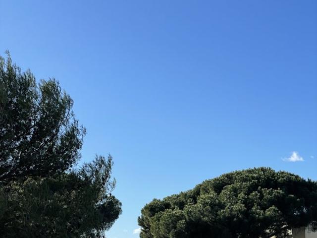 COLOCATION MOURILLON TOULON