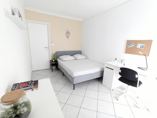 ✅ Colocation NANTES NEUVE 90m2