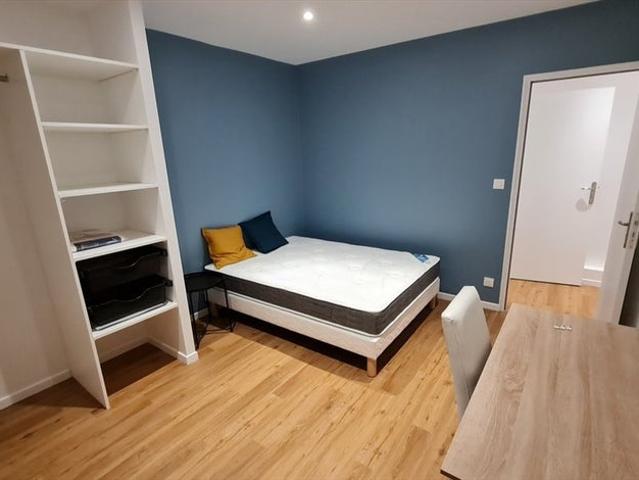 colocation neuve centre ville
