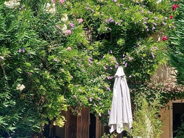 Colocation dans maison avec jardin