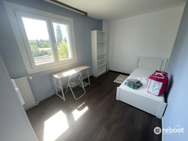 Colocation en appartement meublé 4 chambres individuelles – idéal étudiants – quartier Esplanade