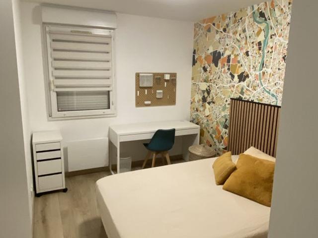Colocation entre filles à Toulouse Cote Pavee