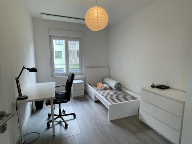 Colocation Homme T4 Green Parc