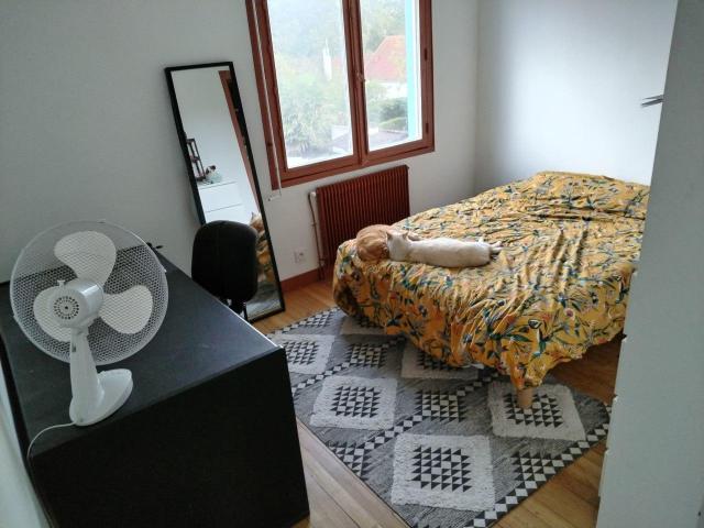 Colocation pour deux étudiants dans grande maison