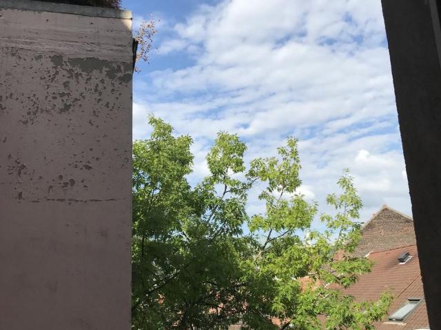 Colocation 11 m² Rue Antoine Dansaert à Bruxelles
