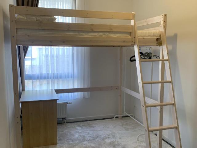 Colocation