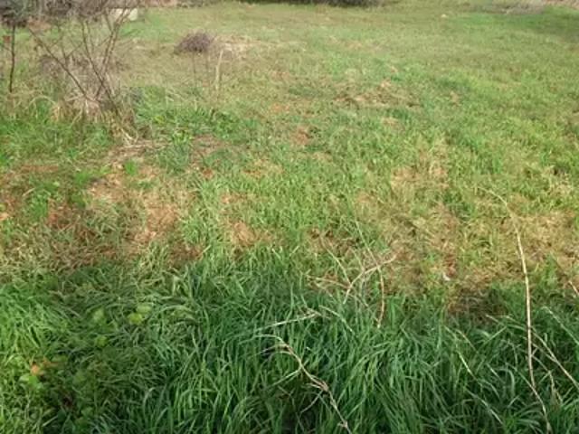 Colomiers 31770 Programme neuf terrain neuf à vendre