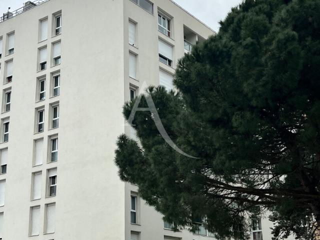 Colomiers Location Appartement 31