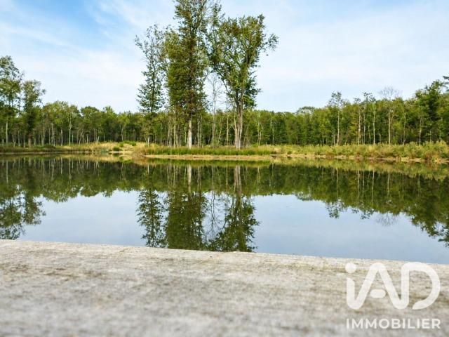 Colomiers Vente Terrain 31