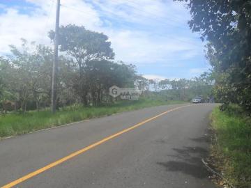 Colon / costa arriba / nombre de dios / finca / 110 hectareas