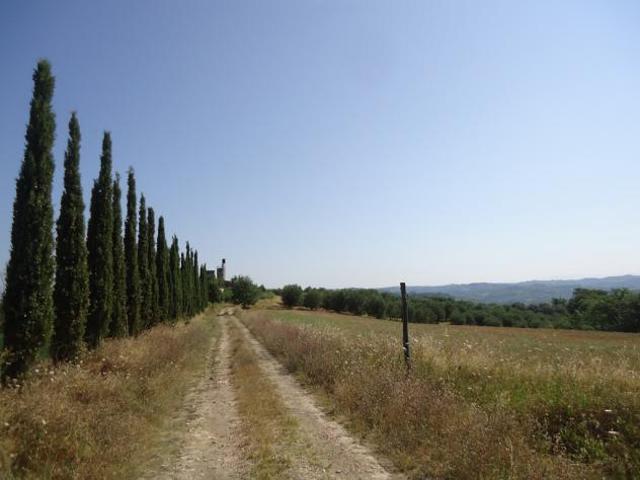 COLONICA di 2500 mq CASTELFIORENTINO rif. C 191