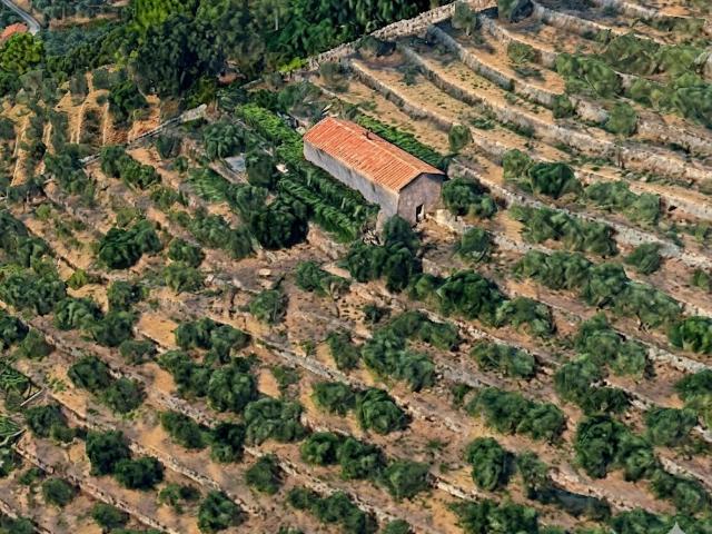 Colonica in vendita a Calci, da ristrutturare Rif. Cjb01 160m² Calci