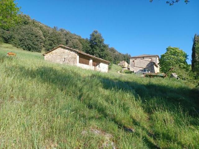 Colonica in vendita a Casole d'Elsa 640 mq Rif: 1266419