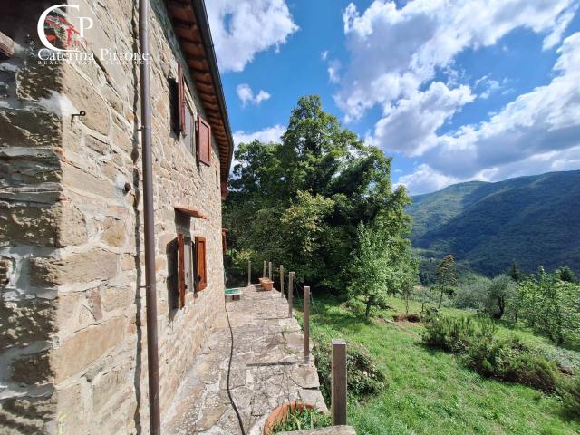 Colonica in vendita a Londa, Rincine