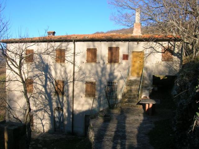 COLONICA IN CASENTINO