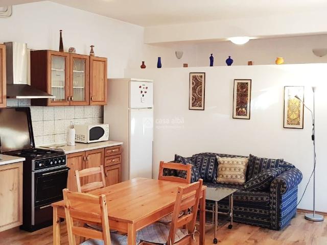 Copou, 2 camere tip studio, mobilat & utilat la vila