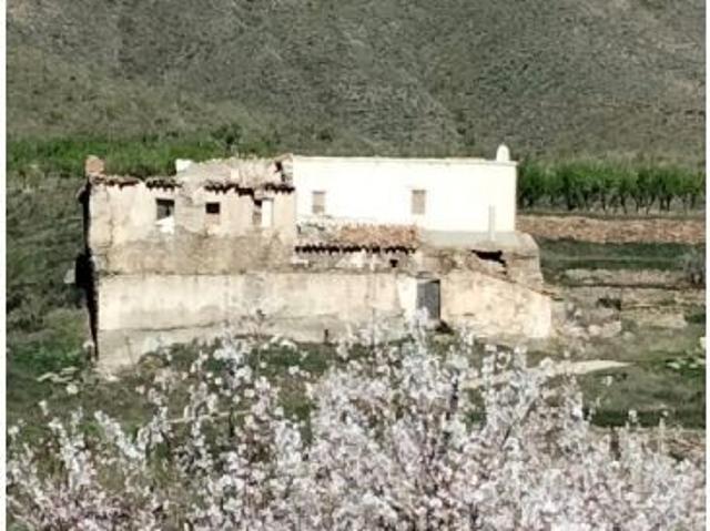 CORTIJO NUEVO EN ULEILA