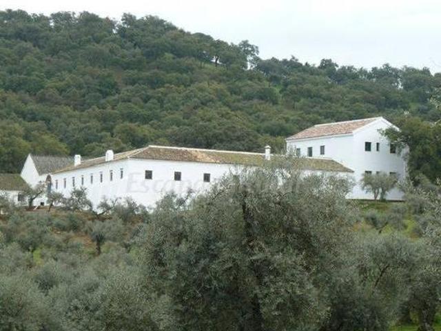 Cortijo Almazara Quintanilla