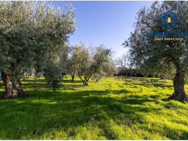 Cortijo Casa de campo a 2 minutos del casco urbano de Otura. Tu pequeño paraíso a un paso de Granada