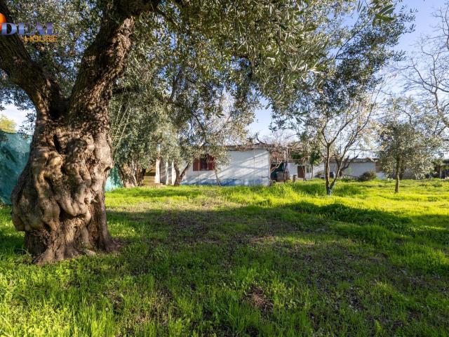 Cortijo Casa de campo a 2 minutos del casco urbano de Otura. Tu pequeño paraíso a un paso de Granada