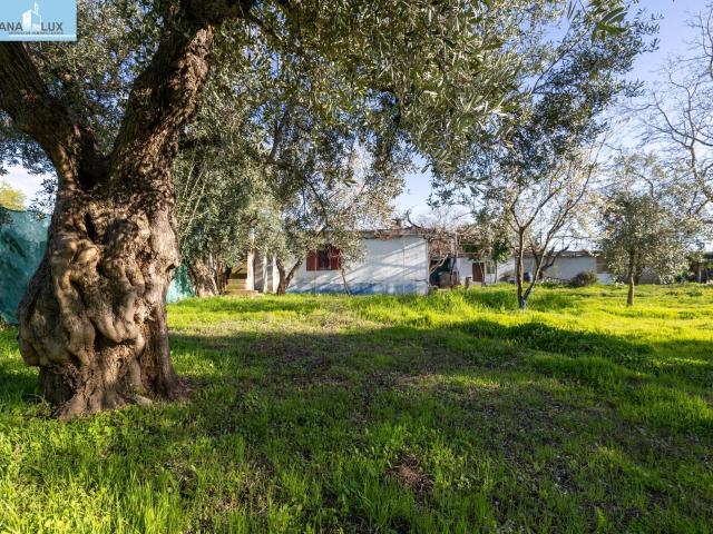 Cortijo Casa de campo a 2 minutos del casco urbano de Otura. Tu pequeño paraíso a un paso de Granada