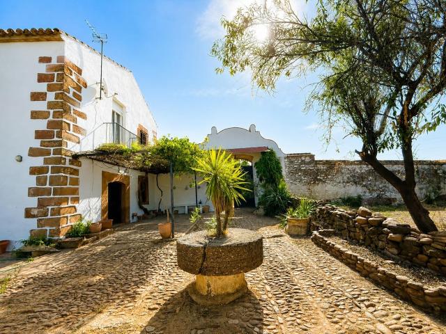 Cortijo con encanto y olivar en producción a solo 2 km de Montoro