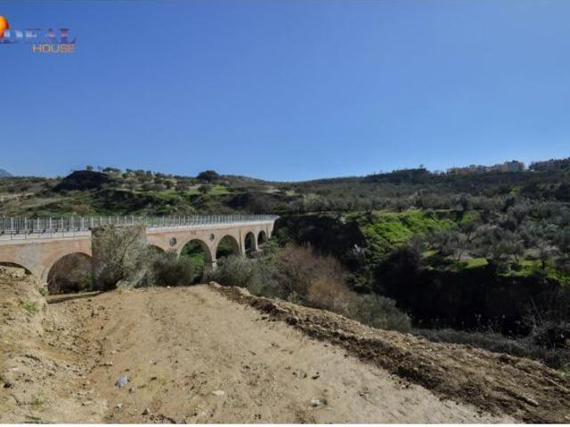 CORTIJO CON FINCA DE OLIVOS