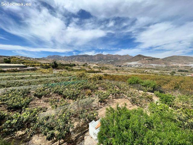 Cortijo con potencial en venta, Salobreña