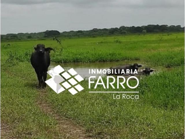 Cortijo de alto standing de 10590000 m2 en venta Guanarito, Venezuela