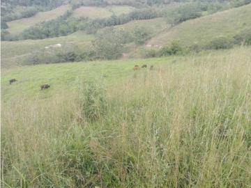 Cortijo de alto standing de 1088000 m2 en venta Manizales, Colombia