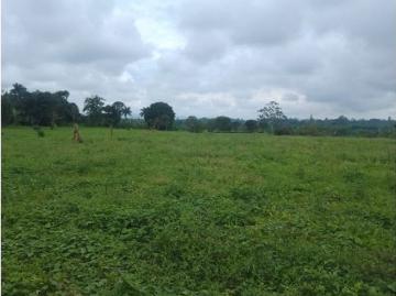 Cortijo de alto standing de 108800 m2 en venta Armenia, Colombia