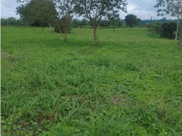 Cortijo de alto standing de 108800 m2 en venta Armenia, Colombia