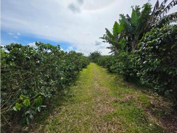 Cortijo de alto standing de 103680 m2 en venta Quimbaya, Colombia