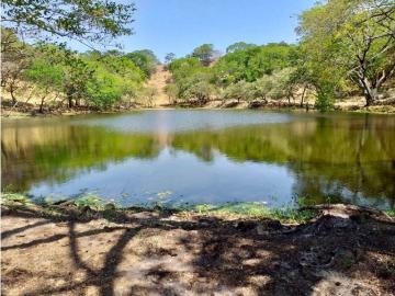 Cortijo de alto standing de 11500000 m2 en venta Guayabal, Departamento de Tolima