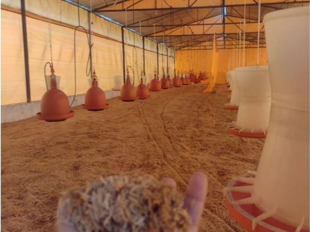 Cortijo de alto standing de 1180000 m2 en venta Tinaquillo, Venezuela