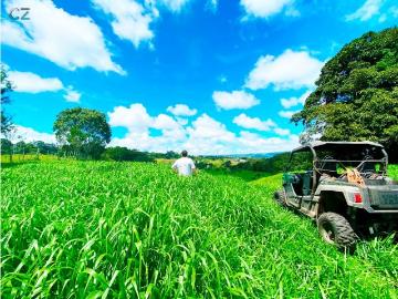 Cortijo de alto standing de 1100000 m2 en venta Cerro Punta, Provincia de Chiriquí