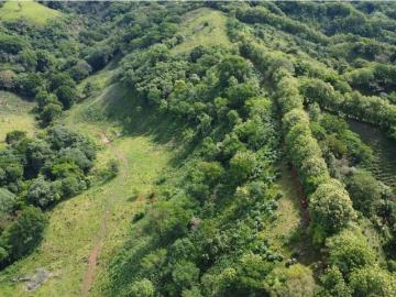 Cortijo de alto standing de 1100000 m2 en venta Chiriquí, Provincia de Chiriquí