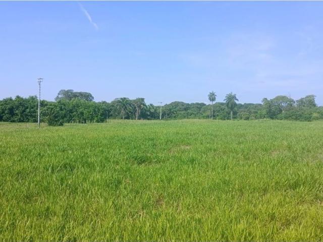 Cortijo de alto standing de 12000000 m2 en venta Barinas, Estado Barinas