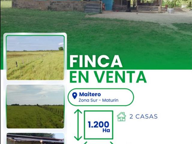 Cortijo de alto standing de 12000000 m2 en venta Maturín, Estado Monagas