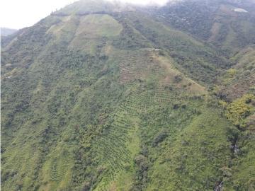Cortijo de alto standing de 1200000 m2 en venta Génova, Departamento del Magdalena