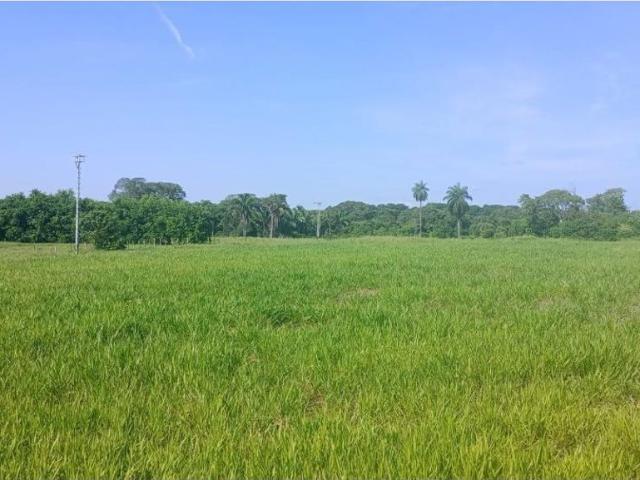 Cortijo de alto standing de 12000000 m2 en venta Barinas, Estado Barinas