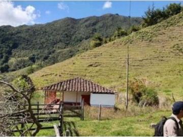 Cortijo de alto standing de 1230000 m2 en venta Abejorral, Departamento de Antioquia