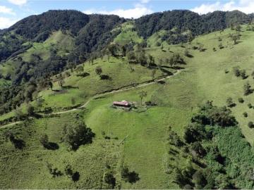 Cortijo de alto standing de 1230000 m2 en venta Cajamarca, Colombia
