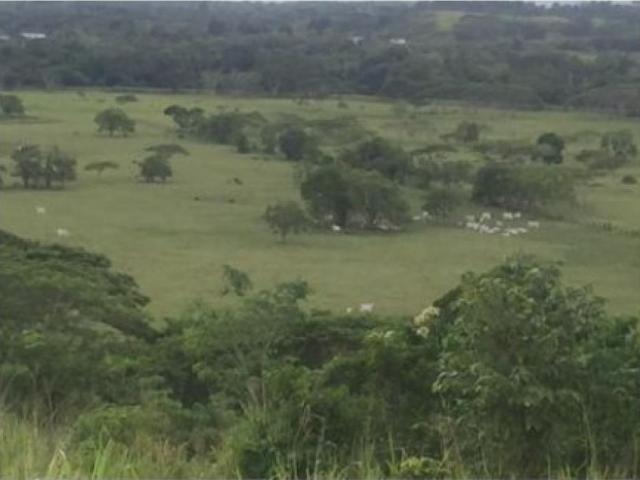 Cortijo de alto standing de 13400000 m2 en venta Coro, Estado Falcón